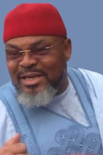 Imo North Senate: Chief Emmanuel Okewulonu (IKEOHA) is eminent